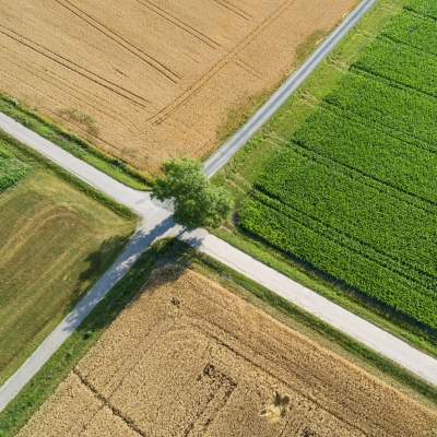 Landschaft Ansicht von oben mit Straße, Feldern und einem Baum
