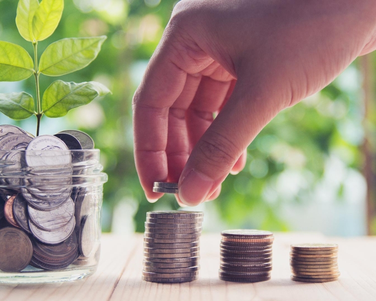 A person puts a coin on a stack of coins. Plants in the background.