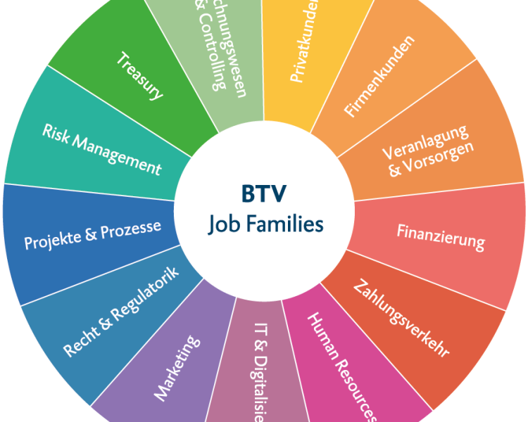 Infografik BTV Job Families: Interessensgebiete für Bank Jobs
