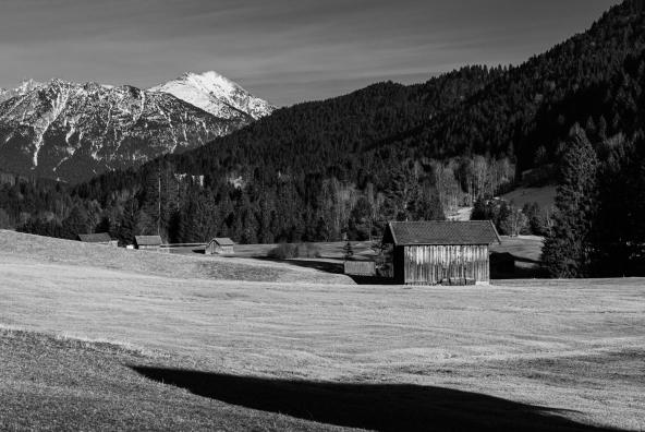 Landscape with trees, mountains and grassland