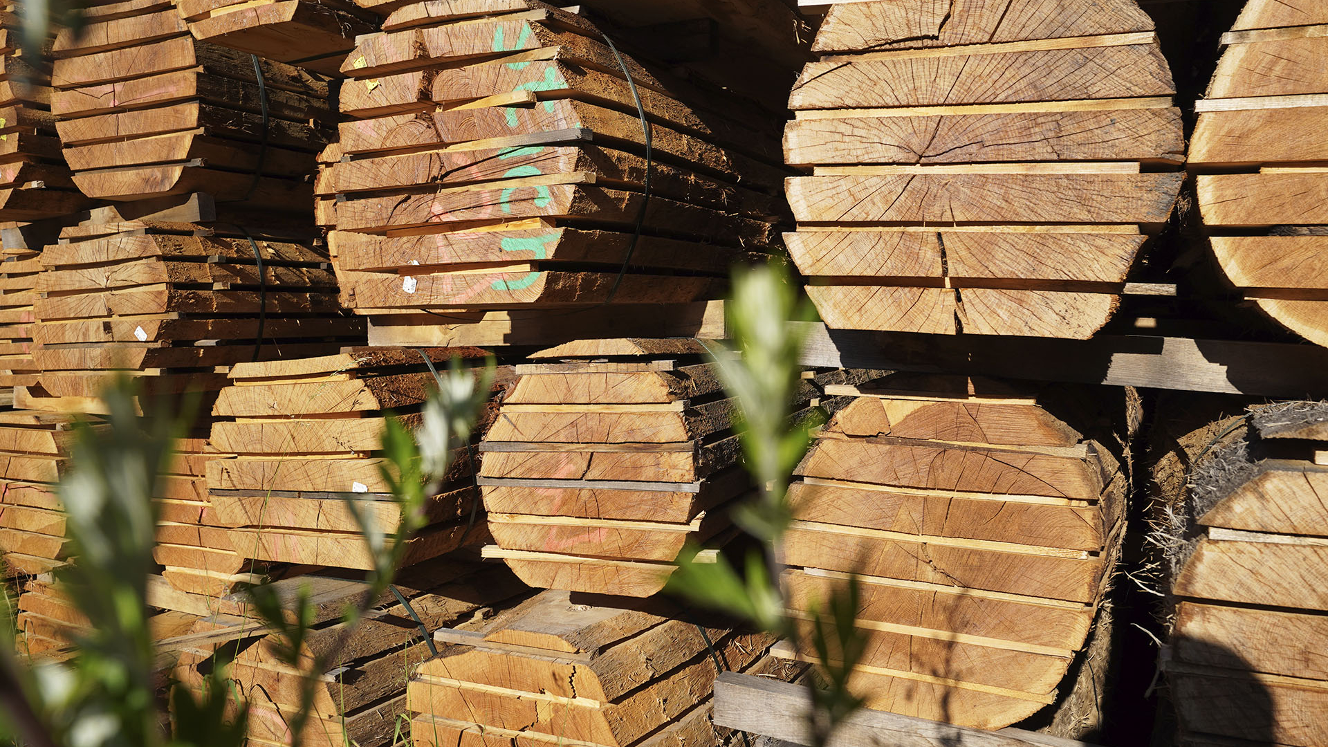 Stapel mit geschnittenen Holzstämmen
